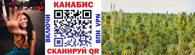 МЕТАДОН Цивильск