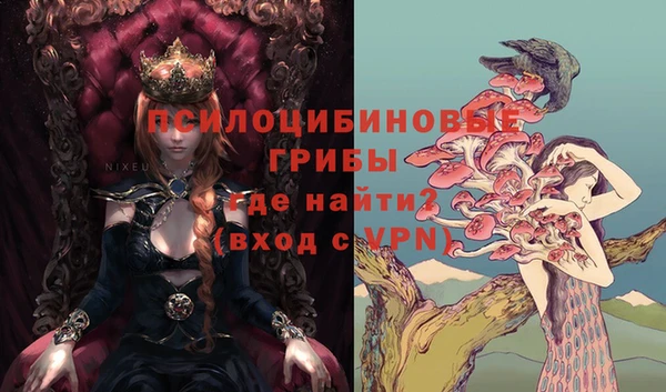 альфа пвп Куйбышев